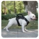 Water-Proof-Pet-LED-Harness-7.webp