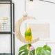 Wooden-Swing-Bird-Perch-Toys-with-Bell-5.webp
