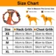 orange-harness-size-chart-website-oragen.webp