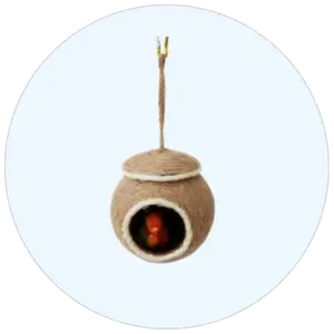 Birds Nesting and Bedding