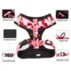 1-Dog-Harness-Vest-Leash-and-Collar-4-1.webp