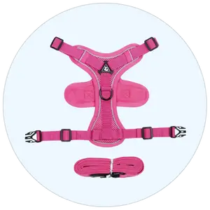 Cat Harness