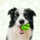 119-Interactive-Dog-Treat-Ball-Toy-27.webp