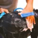 130-Dog-Bathing-Shower-Water-Spray-Tool-2.webp
