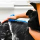 130-Dog-Bathing-Shower-Water-Spray-Tool-4.webp