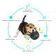 165-Dog-Fetch-Chewy-Toys-15.webp