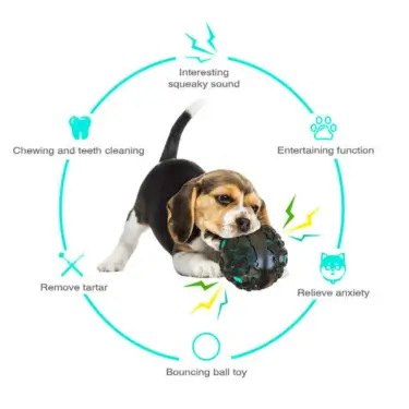 165-Dog-Fetch-Chewy-Toys-15.webp
