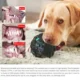 165-Dog-Fetch-Chewy-Toys-16.webp