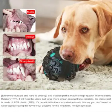 165-Dog-Fetch-Chewy-Toys-16.webp