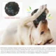 165-Dog-Fetch-Chewy-Toys-18.webp