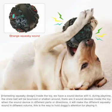 165-Dog-Fetch-Chewy-Toys-18.webp