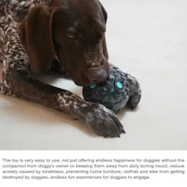 165-Dog-Fetch-Chewy-Toys-28.webp