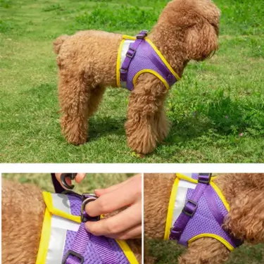 2-Adjustable-Puppy-Harness-Leash-for-Small-Medium-Dog-9.webp