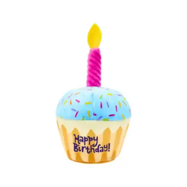 Birthday Cake Plush Squeaky Dog Toy