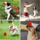 65-Interactive-Rubber-Ball-Dog-Toy-11-1.webp