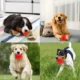65-Interactive-Rubber-Ball-Dog-Toy-8-1.webp