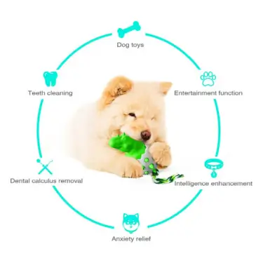 71-Dog-Teeth-Cleaning-Chew-Toy-14-1.webp