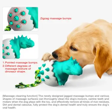 71-Dog-Teeth-Cleaning-Chew-Toy-21-1.webp