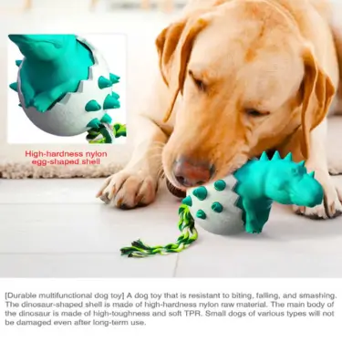 71-Dog-Teeth-Cleaning-Chew-Toy-23-1.webp