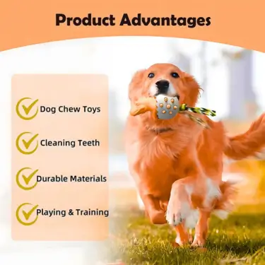 71-Dog-Teeth-Cleaning-Chew-Toy-3-1.webp