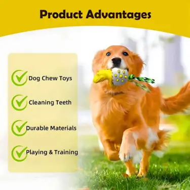 71-Dog-Teeth-Cleaning-Chew-Toy-4-1.webp