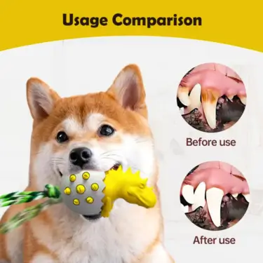 71-Dog-Teeth-Cleaning-Chew-Toy-7-1.webp