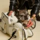 Breathable-Pet-Traveling-Handbag-19.webp