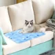 Cat-relaxing-on-the-Cooling-Bed-For-Pets.webp