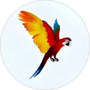 Category Image PDK Birds