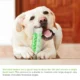 Dog-Bone-Shape-Molar-Teeth-Cleaner-Toy-12.webp