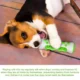 Dog-Bone-Shape-Molar-Teeth-Cleaner-Toy-23-1.webp