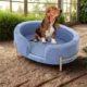 Elevated Soft Sofa Bed for Small Pets (2)