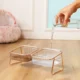 Food-and-Water-in-Pet-Double-Bowl.webp