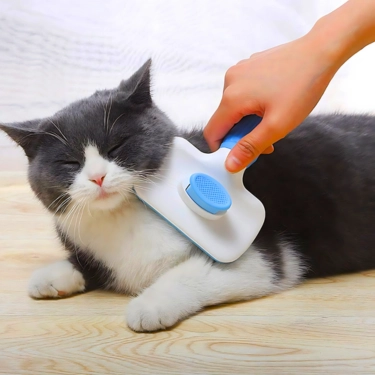 Hair-Removal-Beauty-Needle-Brush-5.webp
