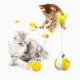 Interactive+Cat+Chasing+Toy+(14)