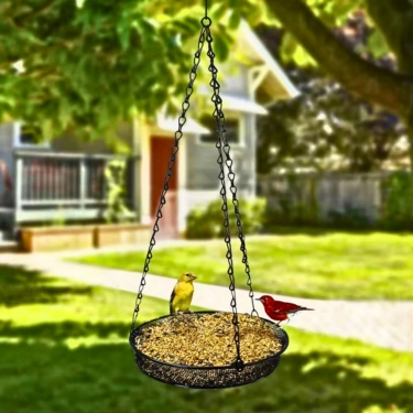 Metal-Bird-Feeder-Tray-with-Mesh-Lightweight-and-Durable-12.webp