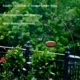 Metal-Bird-Feeder-Tray-with-Mesh-Lightweight-and-Durable-3.webp
