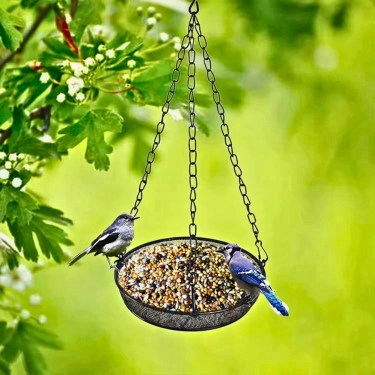 Metal-Bird-Feeder-Tray-with-Mesh-Lightweight-and-Durable-6.webp