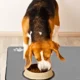 Non-SlipPetFeedingPlacemat8.webp