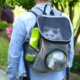 Pet-Food-And-Water-Dispenser-24.webp