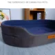 Rectangle-Breathable-Soft-Pet-Bed-For-Indoor-4-1.webp