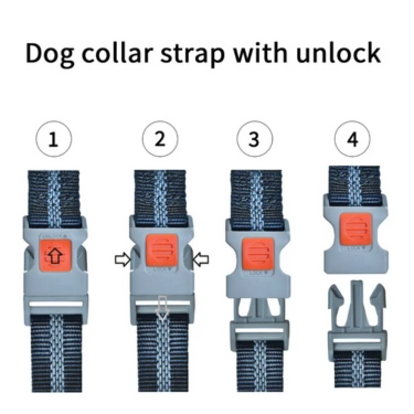Remote Control Rechargeable Training Dog Collar (1)
