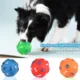 Rubber Ball Toys for Dog (11)