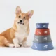 Stainless-Steel-Pet-Bowl-11.webp