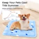 control-temprature-with-_Cooling-Bed-For-Pets.webp