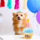313 Birthday Cake Plush Squeaky Dog Toy (2)