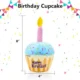 313 Birthday Cake Plush Squeaky Dog Toy (3)