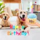 313 Birthday Cake Plush Squeaky Dog Toy (5)
