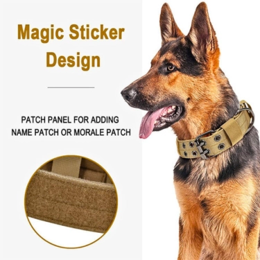 Adjustable-Dog-Training-Collar-For-Outdoor-11.webp