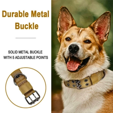 Adjustable-Dog-Training-Collar-For-Outdoor-14.webp